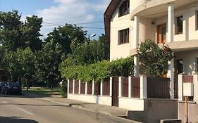 Casa Ștefan